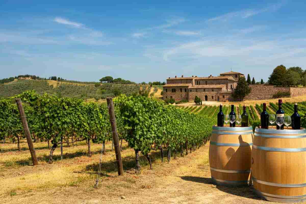 Rossi riconfermato presidente del Vino Nobile di Montepulciano: cosa cambia per il futuro?