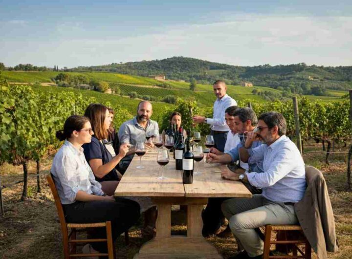 Sangiovese: un viaggio tra le terre di Gaiole in Chianti e Romagna a Capannelle