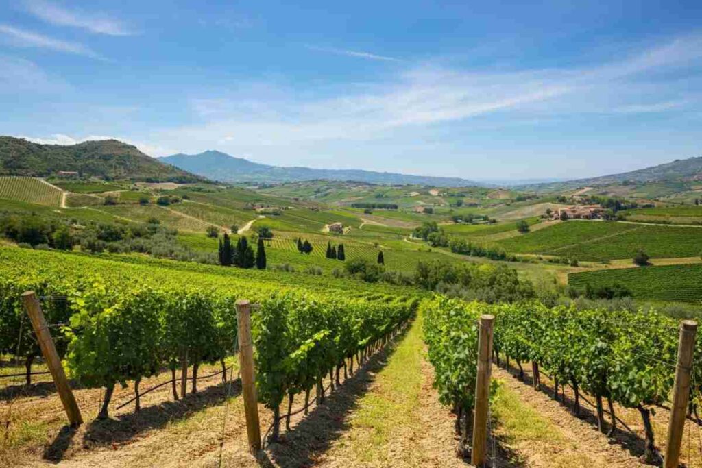 Scopri Fushà Extra Brut: il nuovo spumante d'altura che conquista i palati
