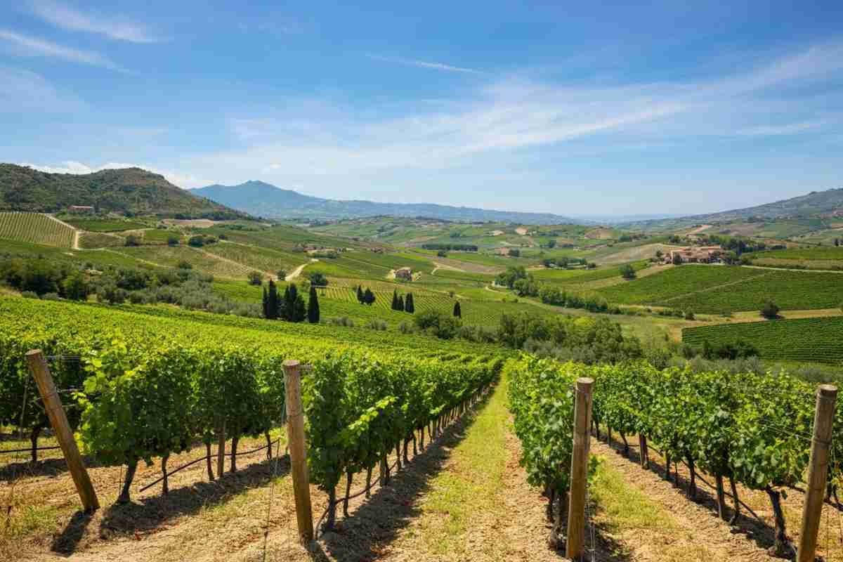 Scopri Fushà Extra Brut: il nuovo spumante d'altura che conquista i palati
