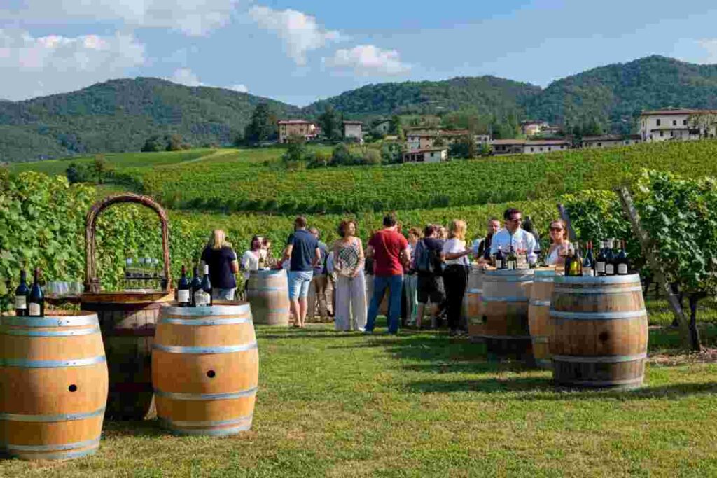 Scopri i tesori vinicoli del Trentino Alto Adige: un viaggio tra le cantine aperte