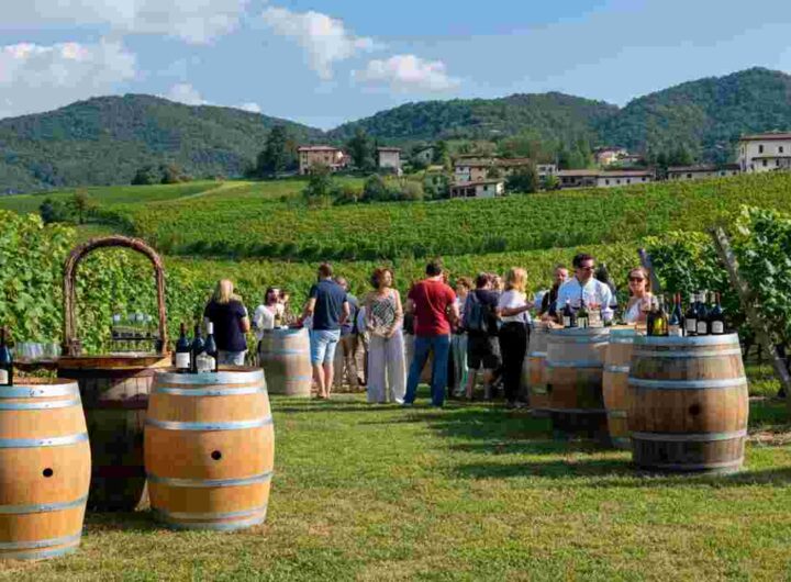 Scopri i tesori vinicoli del Trentino Alto Adige: un viaggio tra le cantine aperte