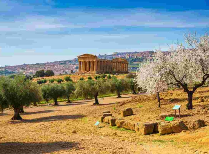 Scopri il vino Diodoros: un tesoro della Valle dei Templi