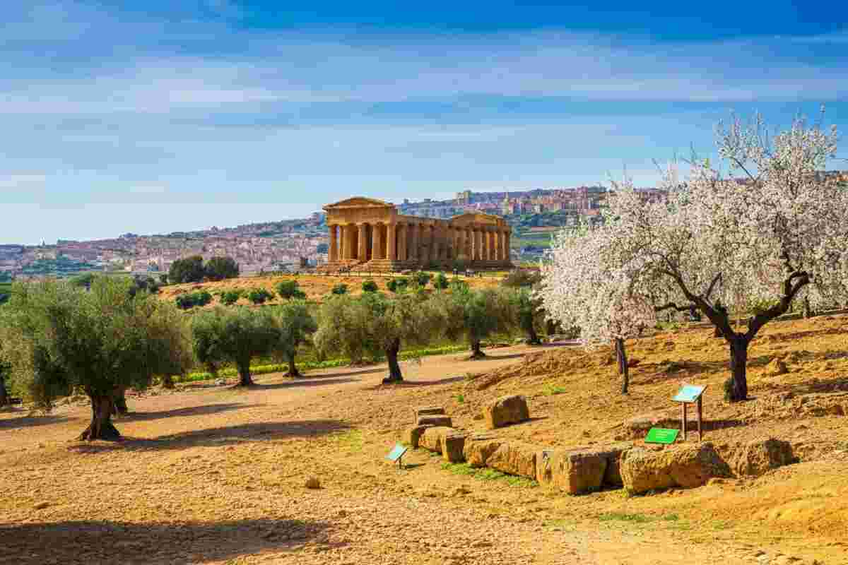 Scopri il vino Diodoros: un tesoro della Valle dei Templi