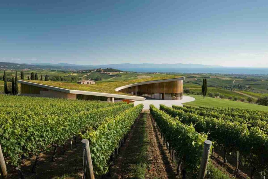 Scopri la Tenuta Meraviglia: il nuovo tesoro di Bolgheri nella ex Cava di Cariola