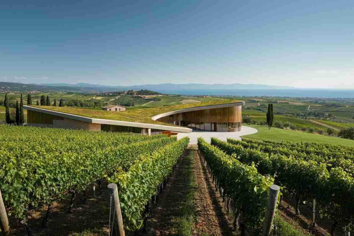 Scopri la Tenuta Meraviglia: il nuovo tesoro di Bolgheri nella ex Cava di Cariola