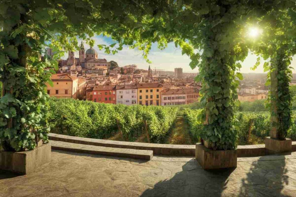 Scopri la Vigna Michelangelo: un angolo urbano di Donne Fittipaldi