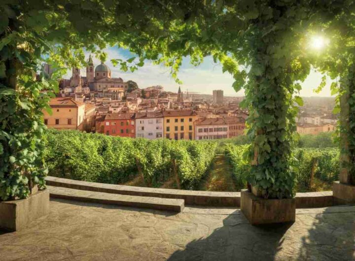 Scopri la Vigna Michelangelo: un angolo urbano di Donne Fittipaldi