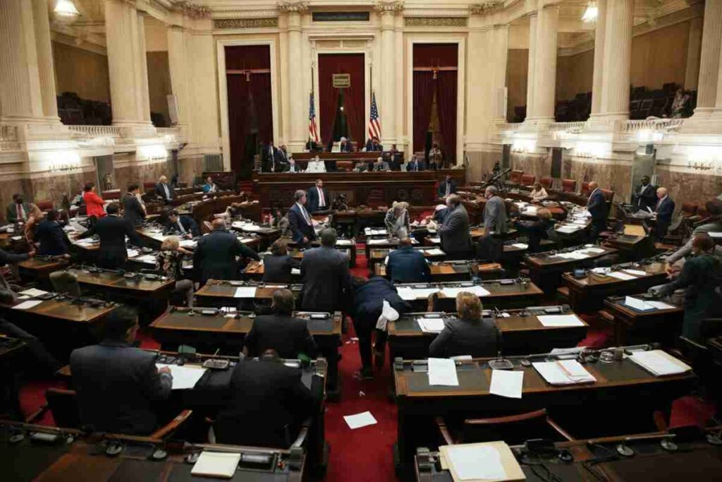 Sicurezza: il nuovo decreto legge introduce 14 reati e 9 aggravanti amid protests