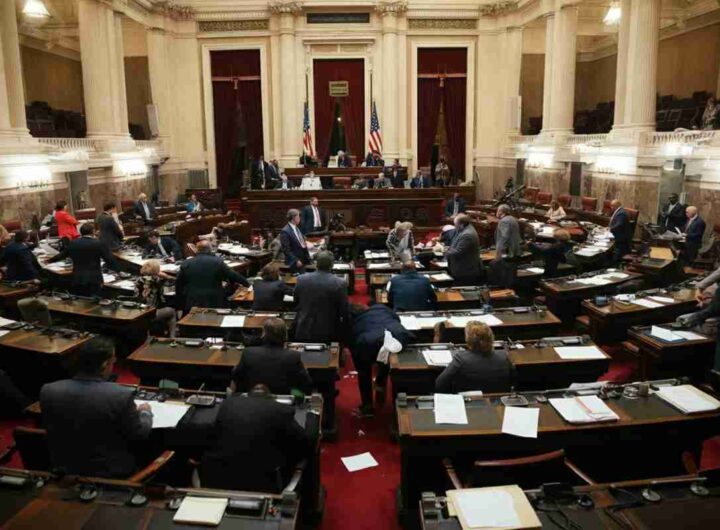 Sicurezza: il nuovo decreto legge introduce 14 reati e 9 aggravanti amid protests