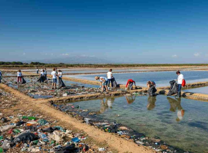 Tre Master of Wine in azione a Marsala per salvare lo Stagnone