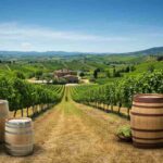 UIV chiede il fermo delle autorizzazioni per nuovi vigneti nel 2025: cosa significa per il futuro del vino?