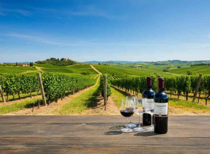 Un viaggio nel Chianti Classico: il premio “Un libro di vino” a un secolo di storia del Gallo Nero
