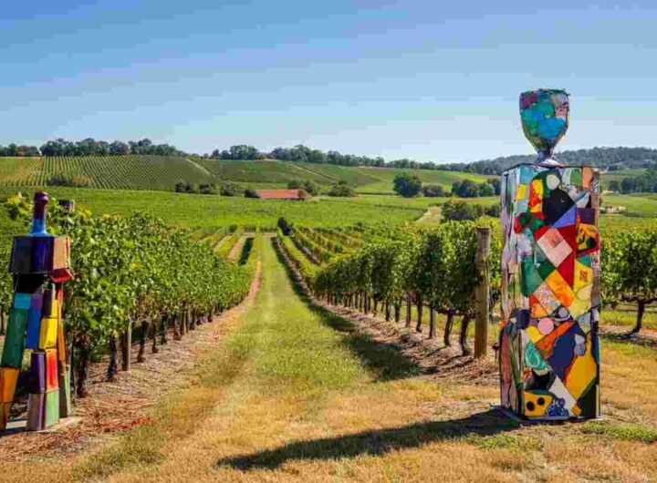 Vino e arte uniti per la solidarietà: all'asta i grandi formati di Ornellaia 2022