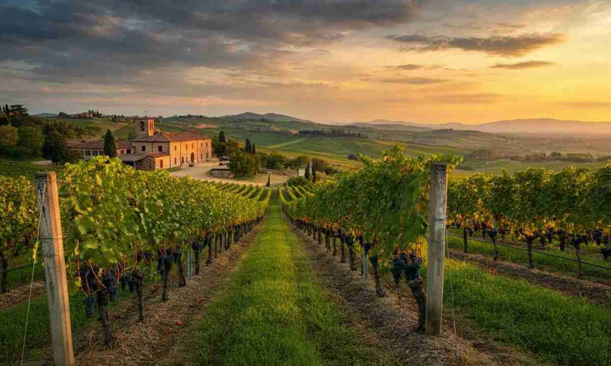 Accordo storico tra Mps e Consorzio Barolo Barbaresco per il credito pegno rotativo