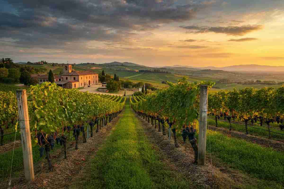 Accordo storico tra Mps e Consorzio Barolo Barbaresco per il credito pegno rotativo