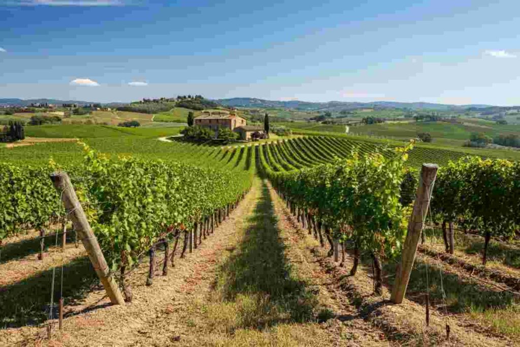 Addio a Gianfranco Soldera: un maestro del vino che ha segnato la storia
