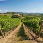 Addio a Gianfranco Soldera: un maestro del vino che ha segnato la storia