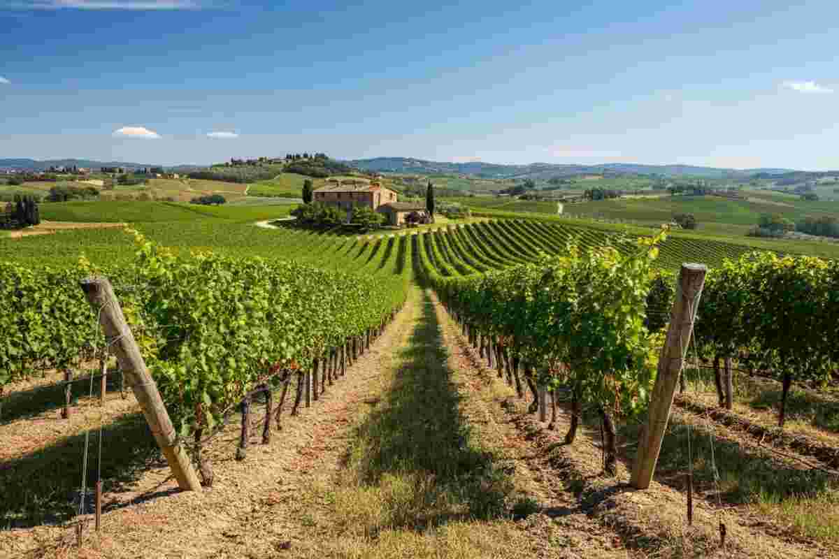 Addio a Gianfranco Soldera: un maestro del vino che ha segnato la storia