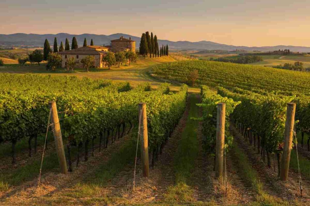 Andrea Rossi assume la presidenza dell'Associazione Vini Toscani Dop e Igp: una nuova era per il vino toscano