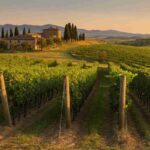 Andrea Rossi assume la presidenza dell'Associazione Vini Toscani Dop e Igp: una nuova era per il vino toscano