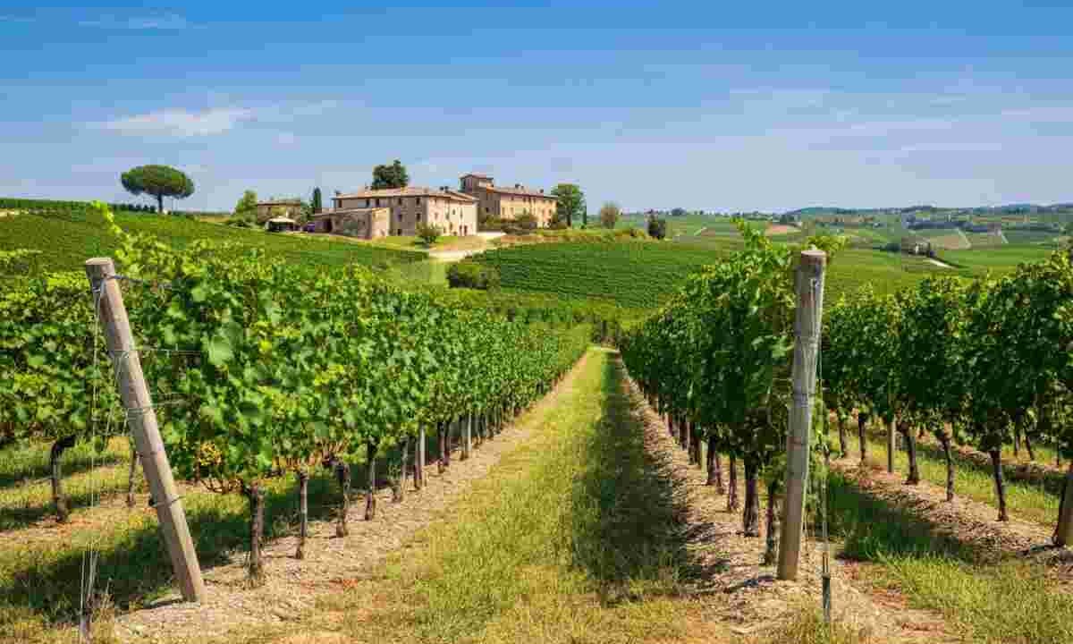 Azienda Agricola Reassi: un viaggio tra le tradizioni dei Colli Euganei