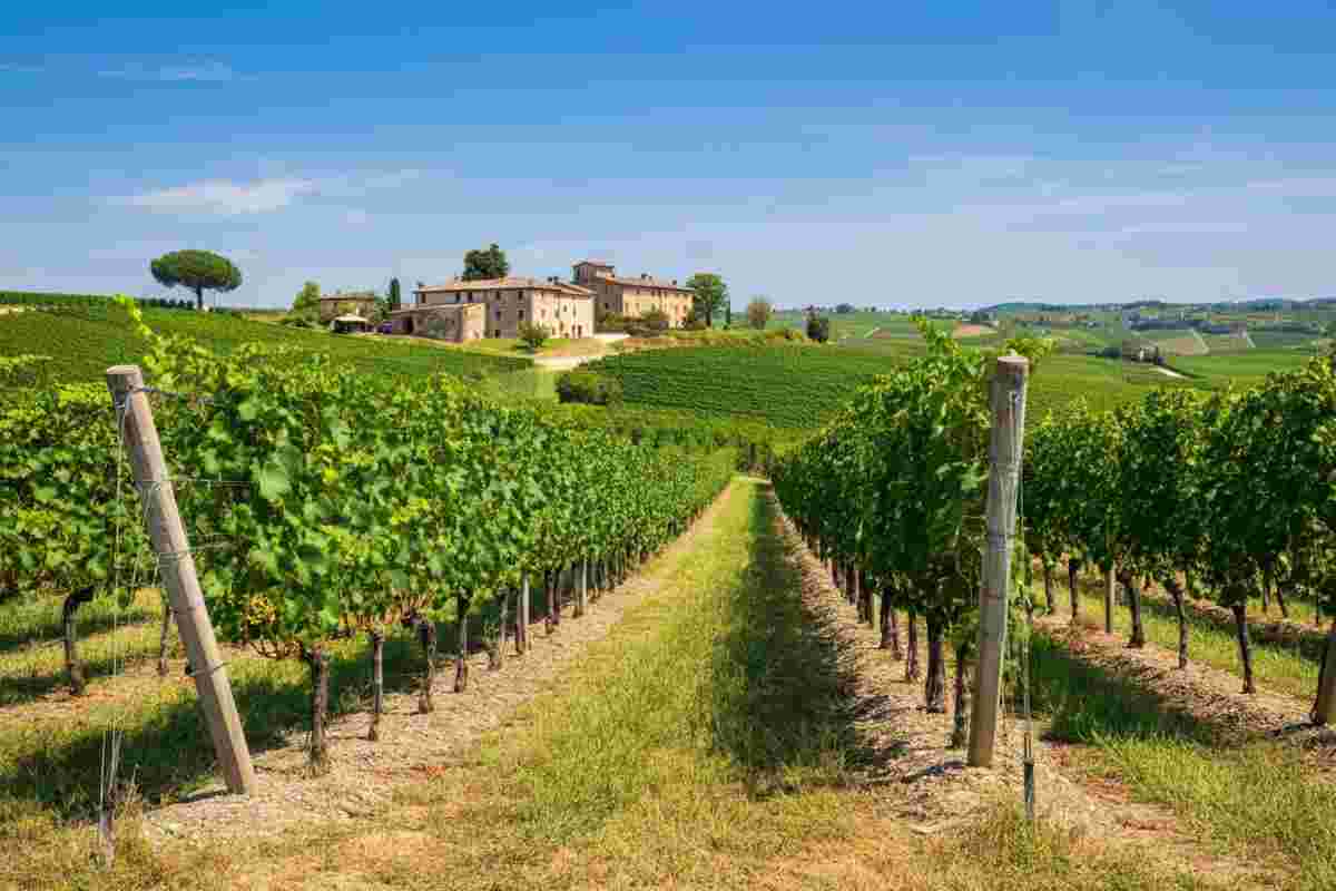 Azienda Agricola Reassi: un viaggio tra le tradizioni dei Colli Euganei