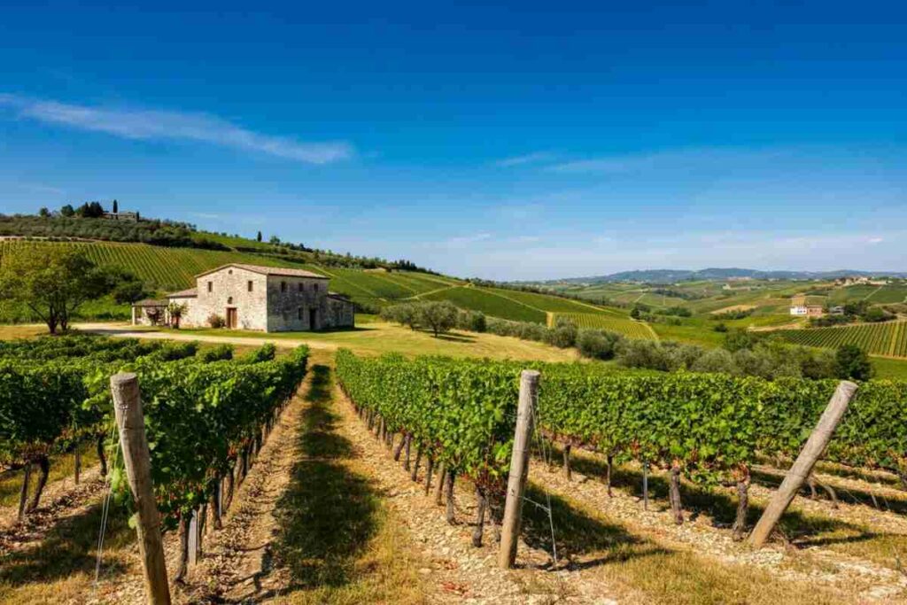 Cà Rovere e la generazione “M”: alla scoperta dei migliori spumanti metodo classico dei Colli Berici