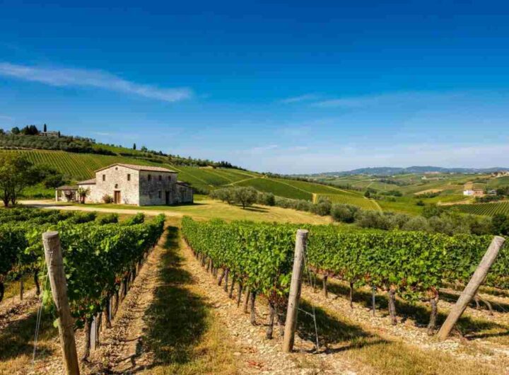 Cà Rovere e la generazione “M”: alla scoperta dei migliori spumanti metodo classico dei Colli Berici