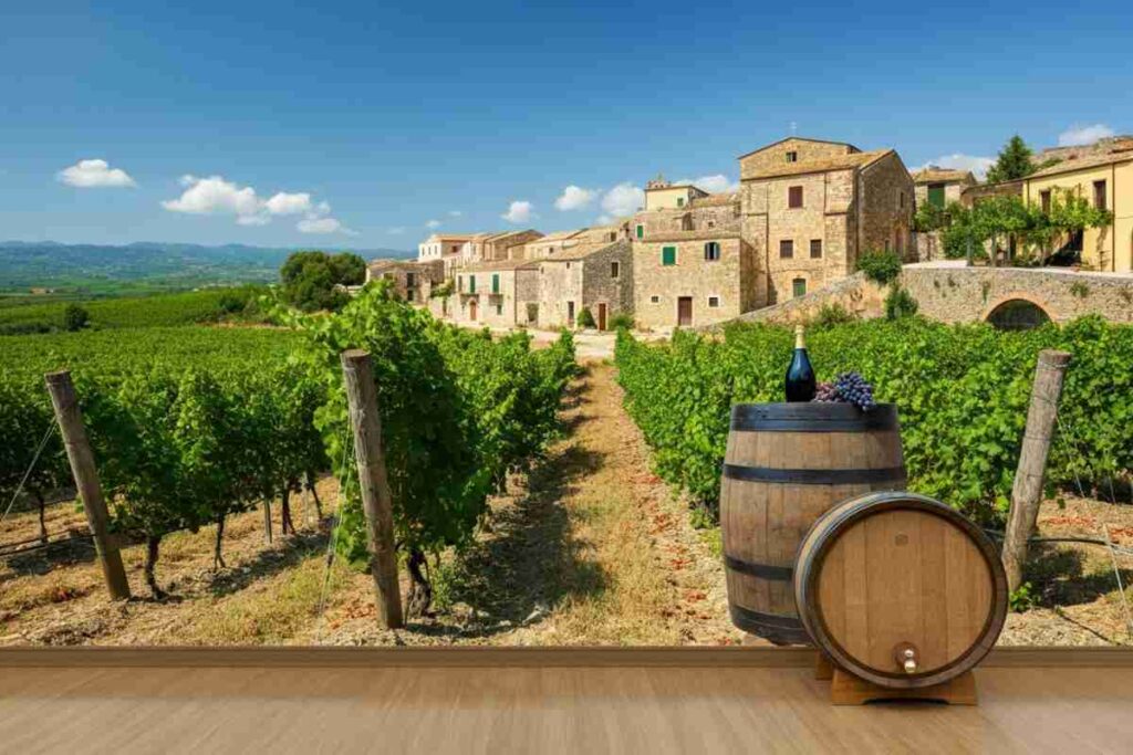 Calabria: il vino antico che conquista il palato moderno