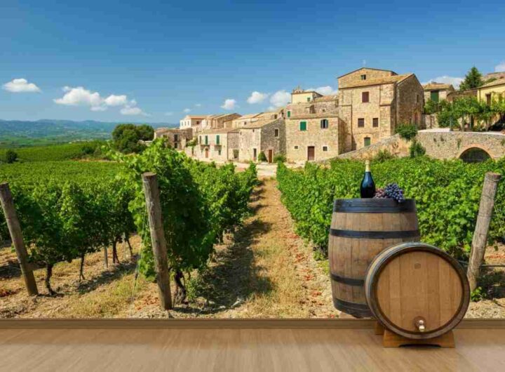Calabria: il vino antico che conquista il palato moderno