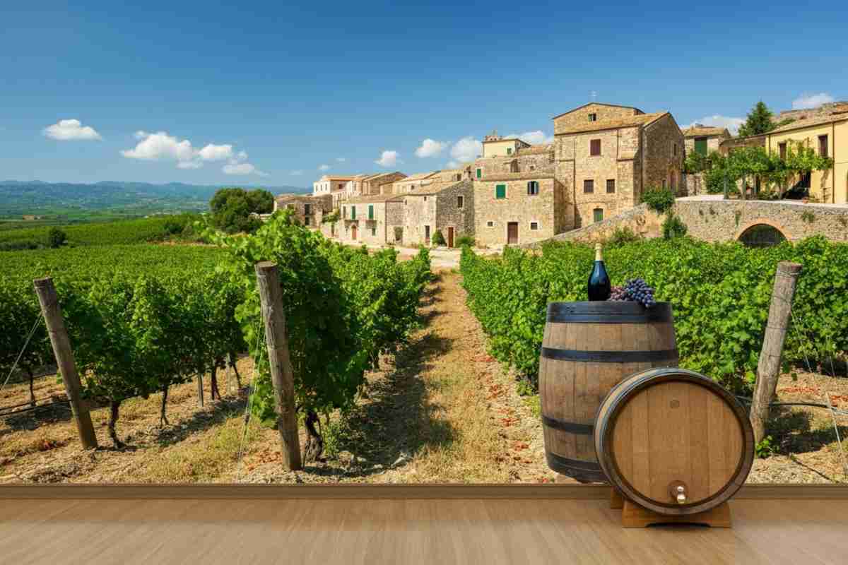 Calabria: il vino antico che conquista il palato moderno
