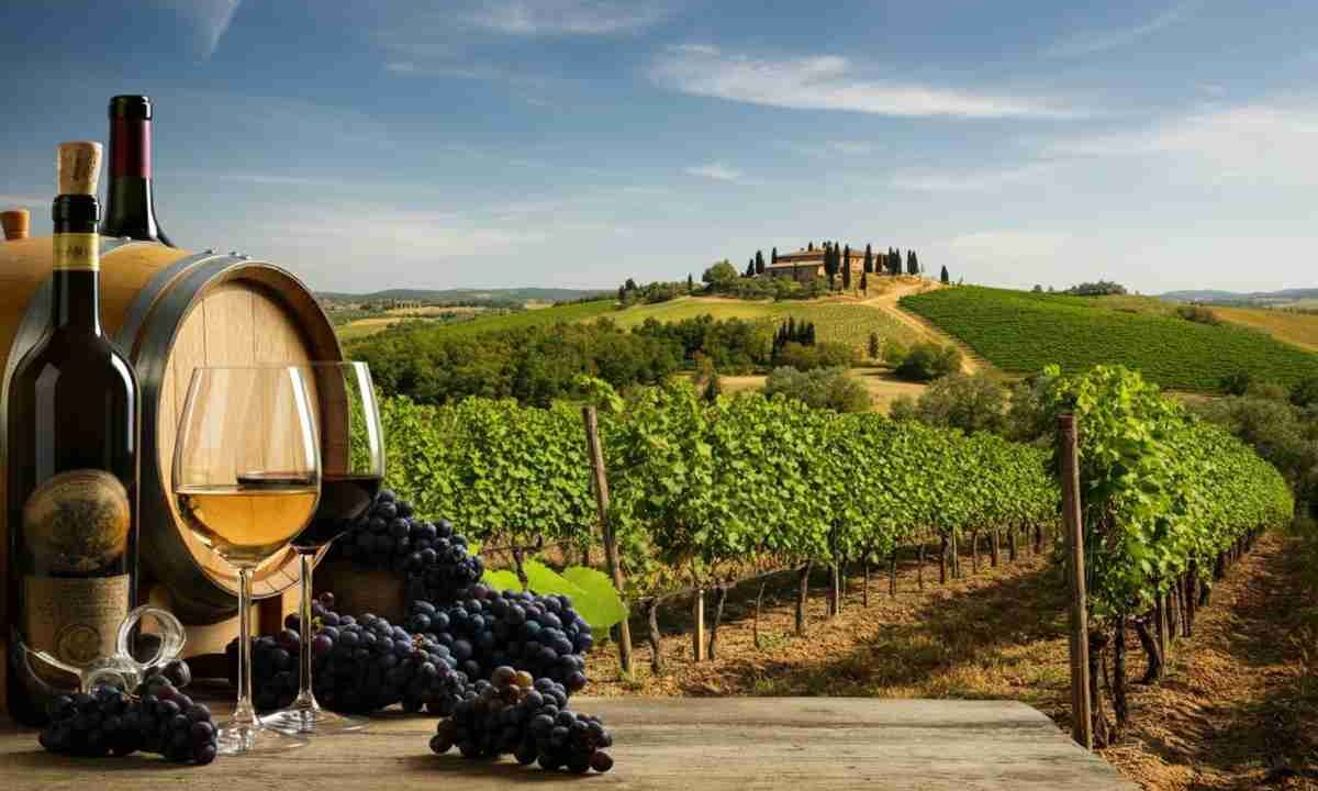 Candidature aperte per il prestigioso Premio Gambelli: scopri come partecipare