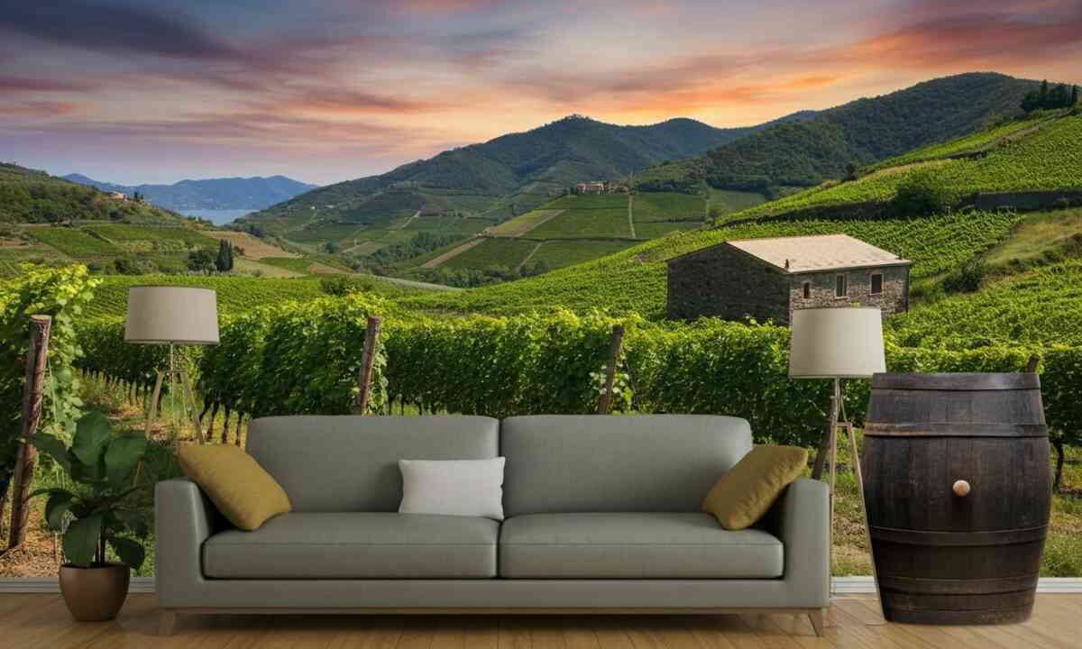 Cantina Capellini: tradizione e innovazione si incontrano nel vino autentico