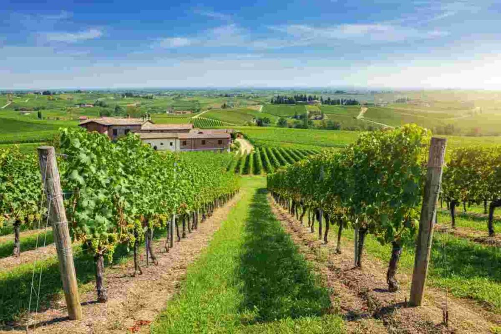 Cantina Valpantena: un successo straordinario con numeri da record