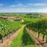 Cantina Valpantena: un successo straordinario con numeri da record