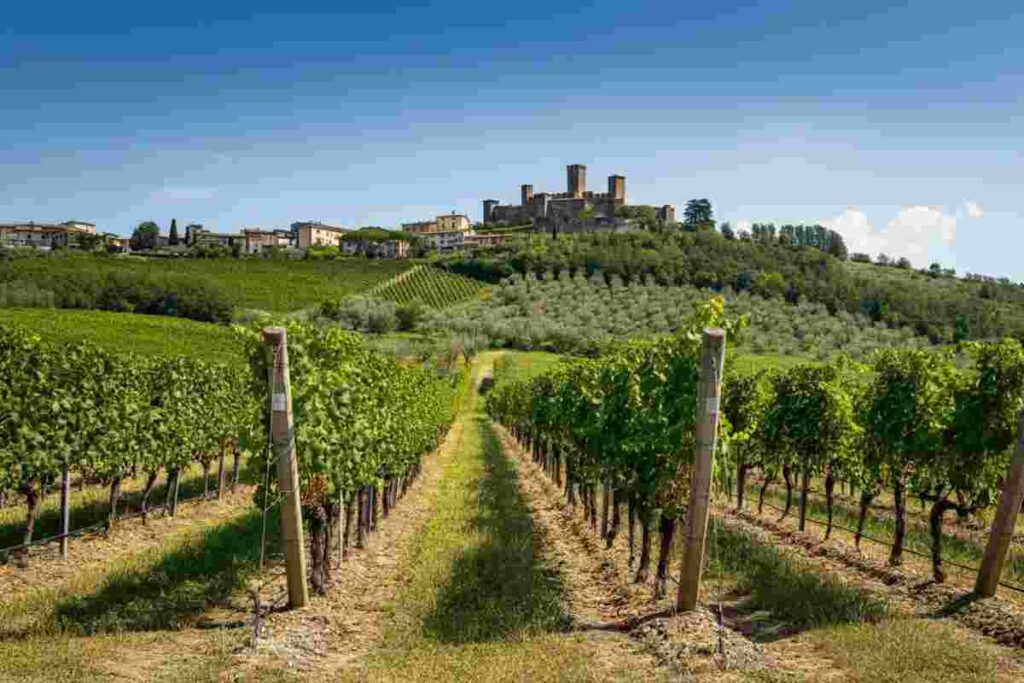 Castel del Piano: la rinascita di un'azienda dopo cinque anni di assenza