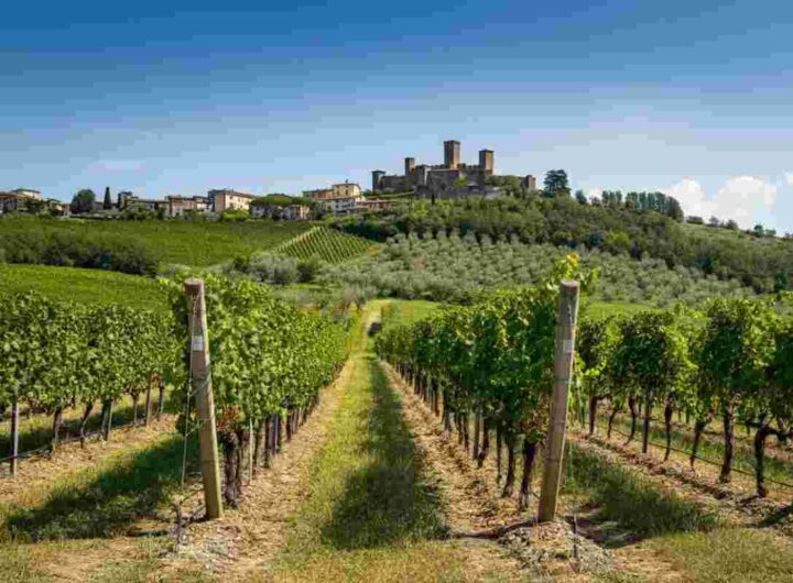 Castel del Piano: la rinascita di un'azienda dopo cinque anni di assenza
