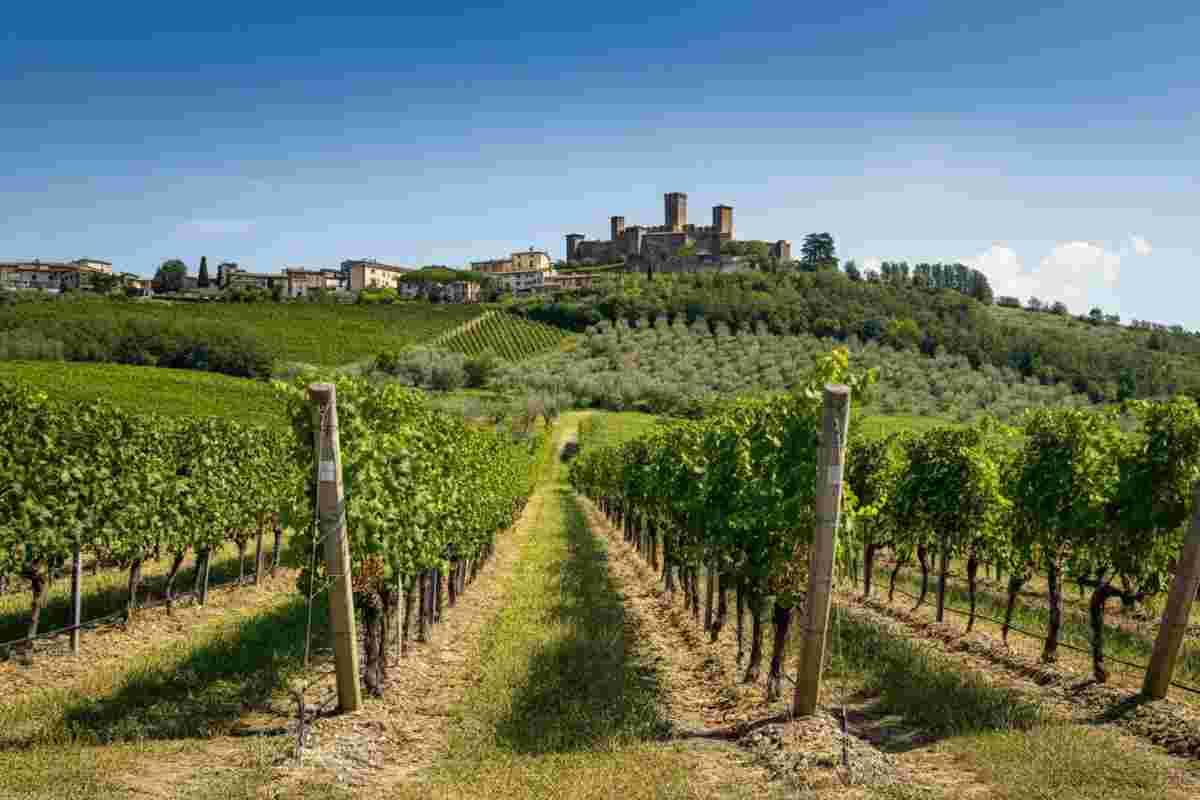 Castel del Piano: la rinascita di un'azienda dopo cinque anni di assenza