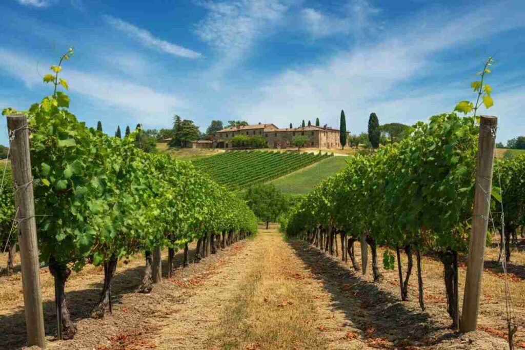 Chianti in cerca di nuovi mercati: l'appello contro i dazi USA sul vino