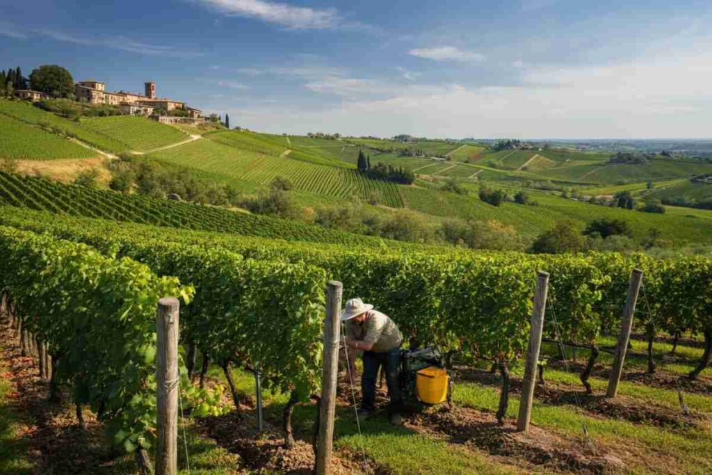 Cima Caponiera di Ca’ Rugate: la sorpresa italiana del CMB 2025