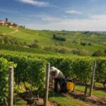 Cima Caponiera di Ca’ Rugate: la sorpresa italiana del CMB 2025