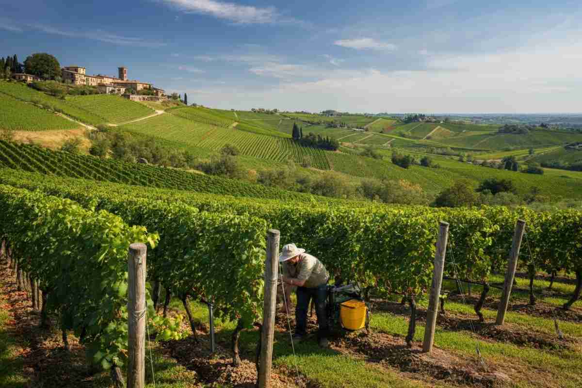 Cima Caponiera di Ca’ Rugate: la sorpresa italiana del CMB 2025