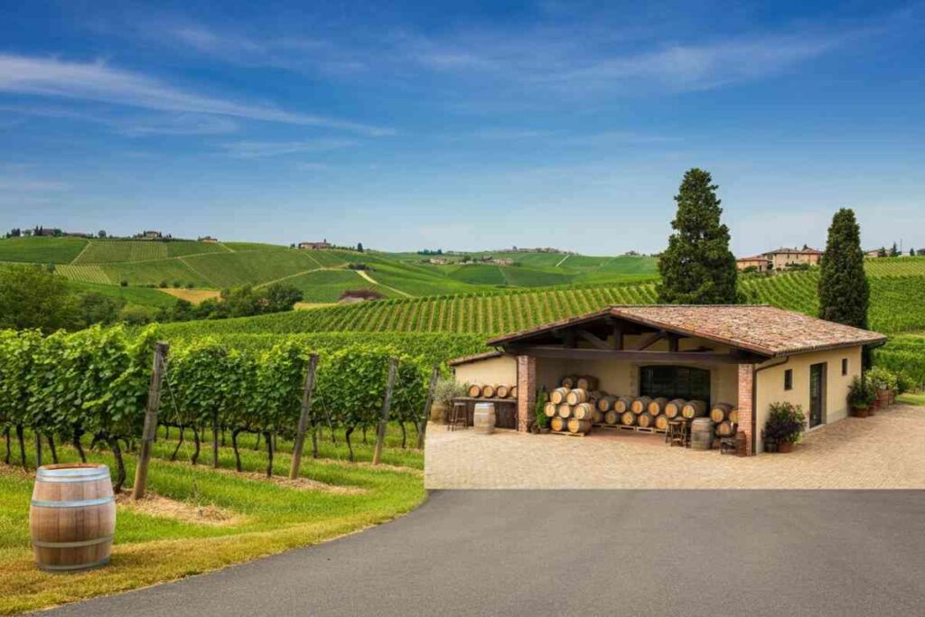 Davide Gasperini assume la presidenza dell'Enoteca Regionale Albugnano: cosa aspettarsi?