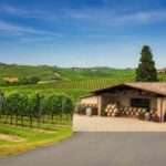 Davide Gasperini assume la presidenza dell'Enoteca Regionale Albugnano: cosa aspettarsi?