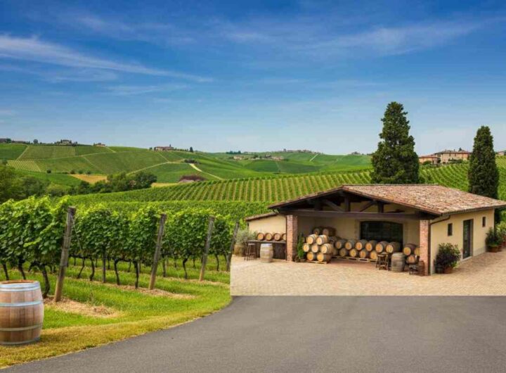 Davide Gasperini assume la presidenza dell'Enoteca Regionale Albugnano: cosa aspettarsi?