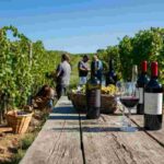 Diventa vignaiolo per un anno con Andrea Moser: il tuo sogno di fare vino si avvera