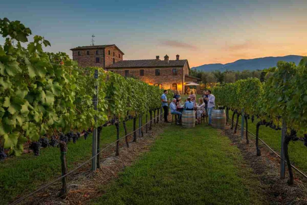 Enoturismo e tecnologia: Performant Capital scommette su Wine Suite italiana