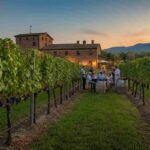 Enoturismo e tecnologia: Performant Capital scommette su Wine Suite italiana