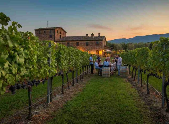 Enoturismo e tecnologia: Performant Capital scommette su Wine Suite italiana